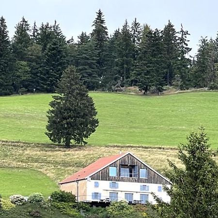 Maison D'Hotes Des Hauts De La Piquante Pierre Basse-sur-le-Rupt 외부 사진