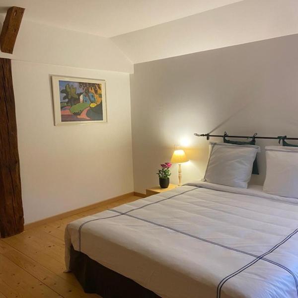 Maison D'Hotes Des Hauts De La Piquante Pierre Basse-sur-le-Rupt 외부 사진