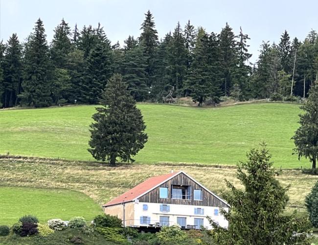 Maison D'Hotes Des Hauts De La Piquante Pierre Basse-sur-le-Rupt 외부 사진